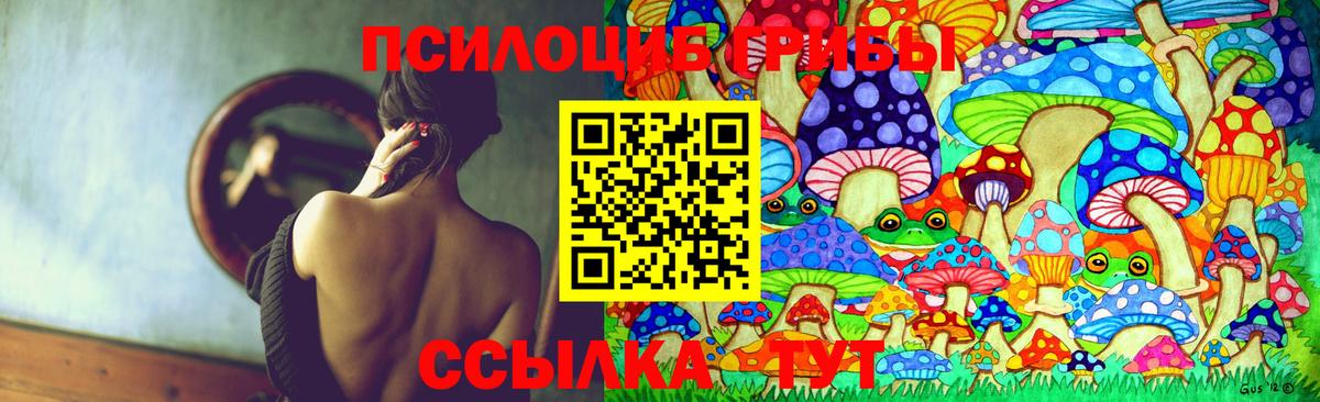 Псилоцибиновые грибы Psilocybine cubensis Гудермес